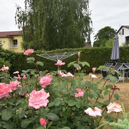 Vakantiehuis Awesome Bungalow In With Terrace *